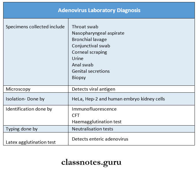 DNA Viruses Adenovirus Laboratory Diagnosis