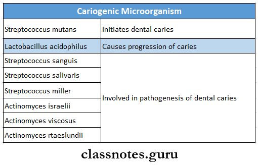 Dental Caries Cariogenic Microorganism