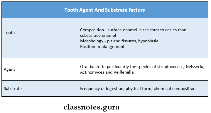 Dental Caries Tooth Agent And Substrate factors