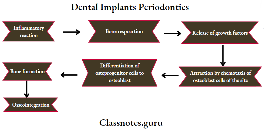 Dental Implants Osseintegration