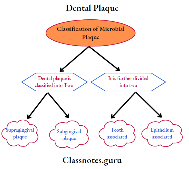 Dental Plaque Classification of microbial plaque