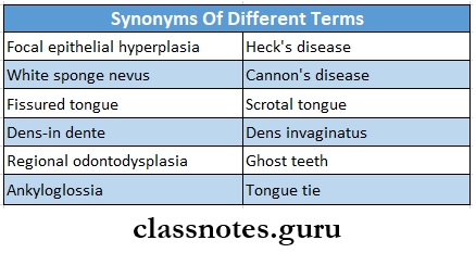 Developmental Disturbances Of Oral And Paraoral Structures Synonyms Of Different Terms