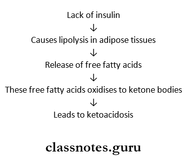 Diabetes Mellitus Diabetic ketoacidosis pathogenesis