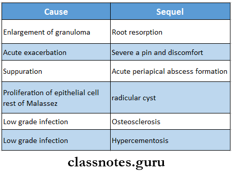 Diseases Of The Pulp And Periapical Tissues Periapical Granuloma