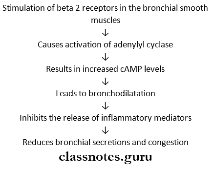 Drugs And Cough And Bronchial Asthma Rationale Of Using Sympathomimentic Drugs In Bronchial Asthma