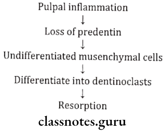 Diseases Of Pulp Question And Answers - Class Notes