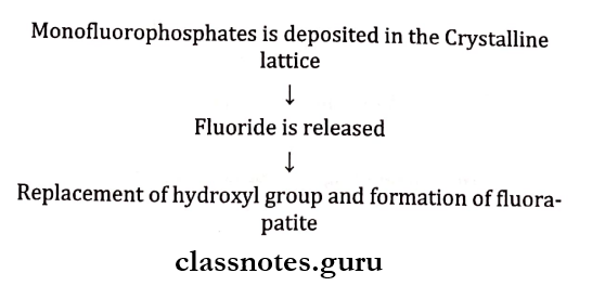 Fluorides Fluoride Dentrifices Mechanism Of Actions