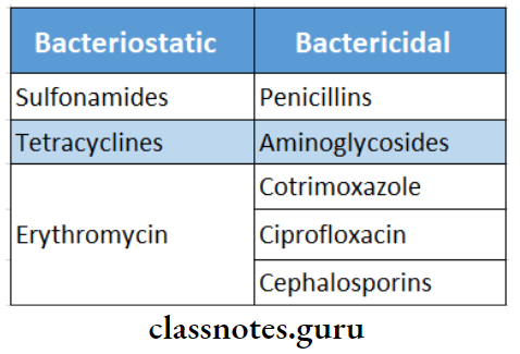 General Considerations Based On Antibacterial Activity