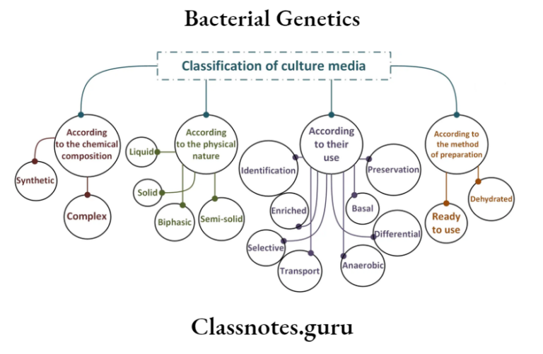 WHAT IS GENERAL MEDIA IN MICROBIOLOGY visual data 5