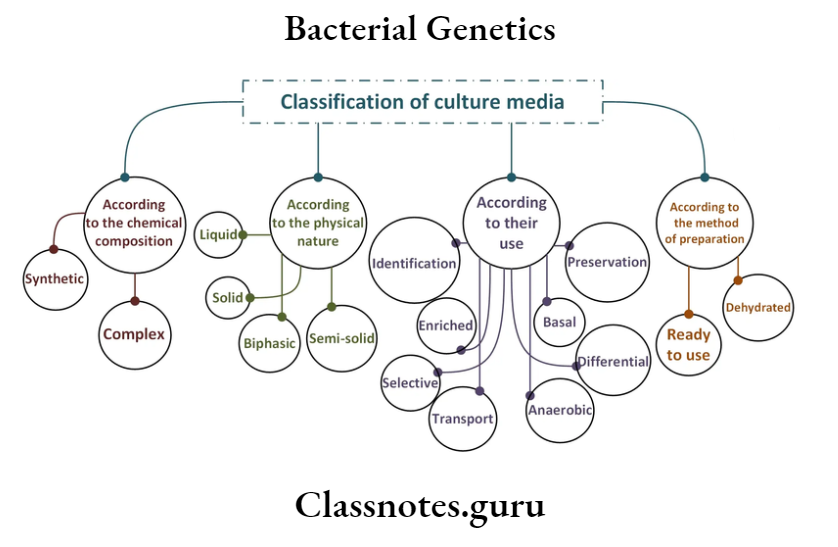 General Microbiology Culture Media And Methods Classification Of Culture Media