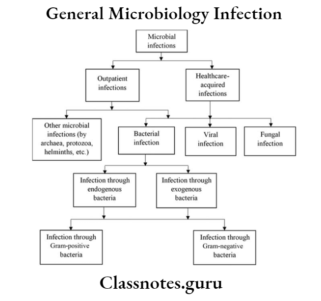 General Microbiology Infection 2 Types Of Microbiology Infections