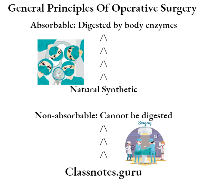 General Principles Of Operative Surgery Digested By Body Enzymes