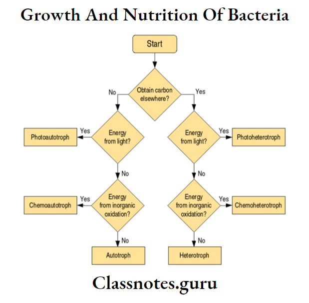 Growth And Nutrition Of Bacteria Autotrophic Bacteria