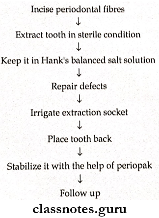 Healing Of Oral Wounds Reimplantation Technique
