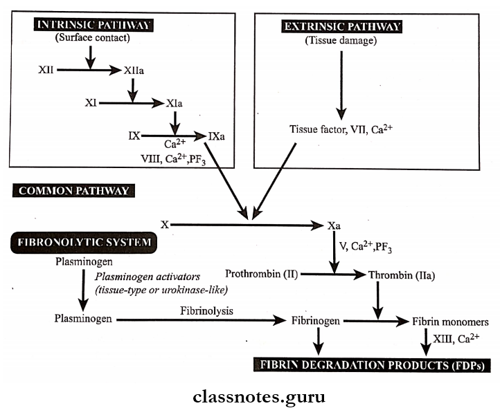 Hemodynamic Derangements Due To Obstructive Nature Intrinsic and extrinsic Pathway