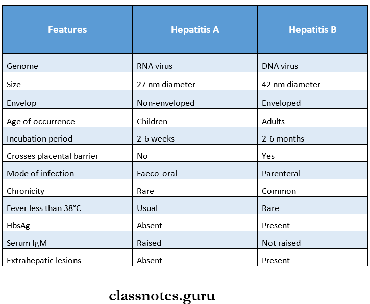 Hepatitis Viruses - Differentiate between hepatitis A and hepatitis B