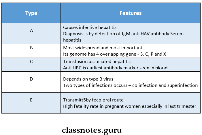 Hepatitis Viruses - Hepatitis Virus