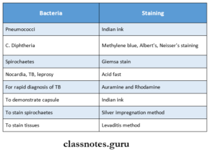 Identification Of Bacteria Question And Answers - Class Notes