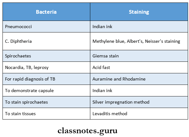 Identification Of Bacteria Staining of bacteria