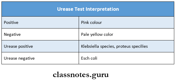Identification Of Bacteria Urease test interpretation