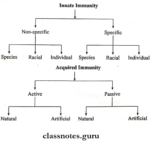Immunity - Classify Immunity