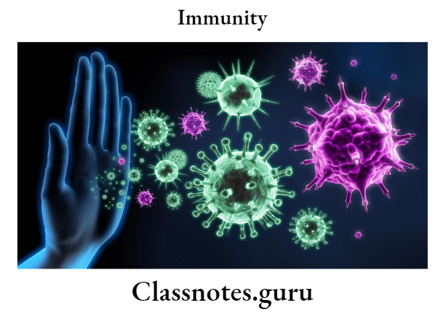Immunity How To Opitimize Your immune System