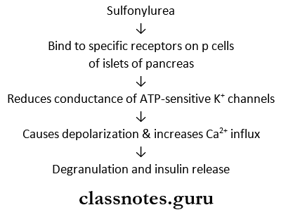 Insulin And Oral Hypoglycaemics Mechanism Of Action Of Sulfonylureas