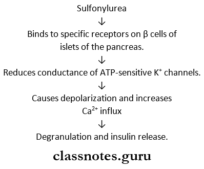 Insulin And Oral Hypoglycaemics Sulfonylureas Mechanism Of Action