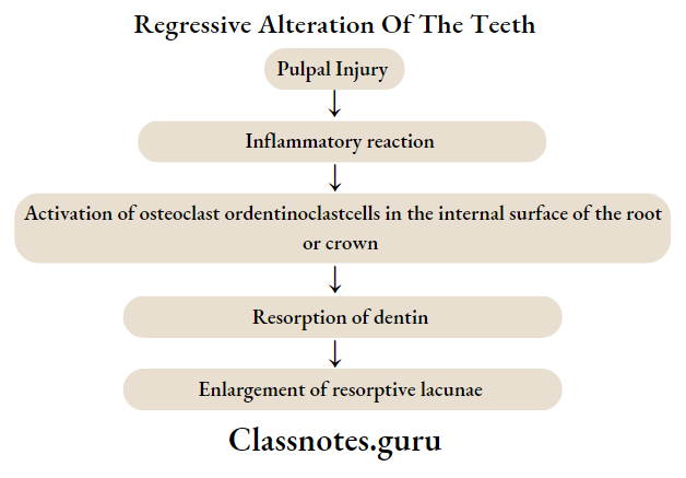 Internal resorption or Pink tooth of mummery Etiopathogenesis