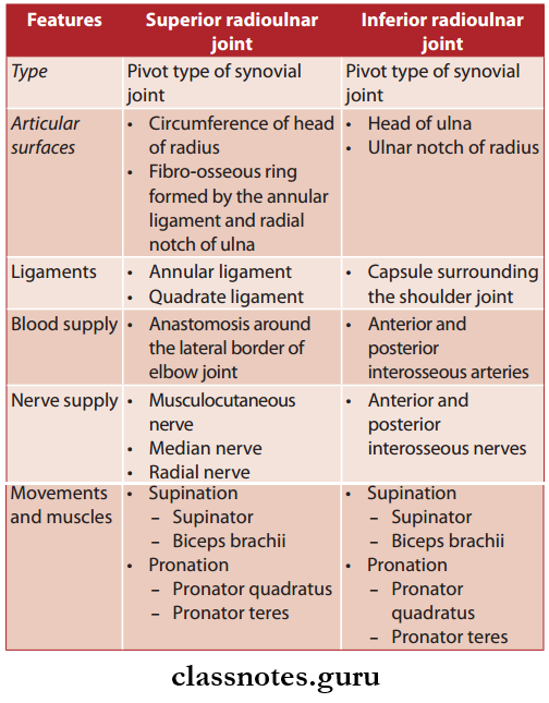 Joints Of Upper Limb Comparison Between Superior And Inferior Radioulnar Joints
