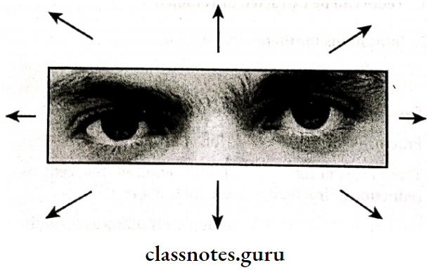Maxillofacial Trauma Testing The Motions of the Eyes In All Nine Positions Of gazes