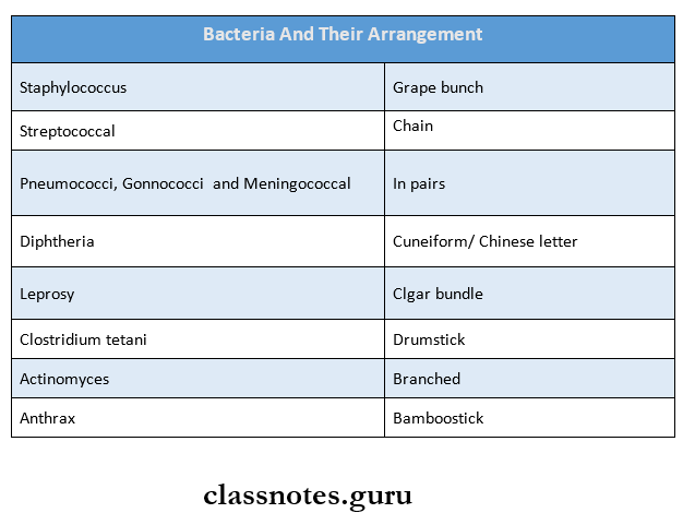 Morphology And Physiology Of Bacteria- Bacteria And Their Arrangement