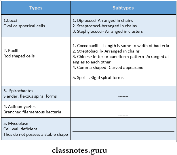 Morphology And Physiology Of Bacteria Bacteria Classified
