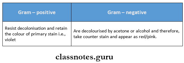 Morphology And Physiology Of Bacteria Differentiation on gram staining