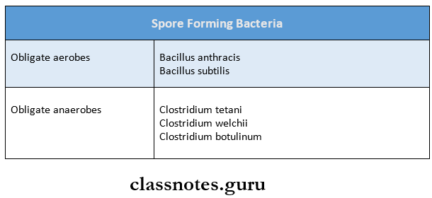 Morphology And Physiology Of Bacteria Spore Forming Bacteria