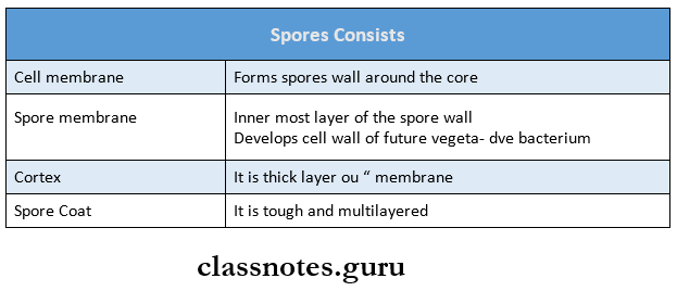Morphology And Physiology Of Bacteria Spores Consists