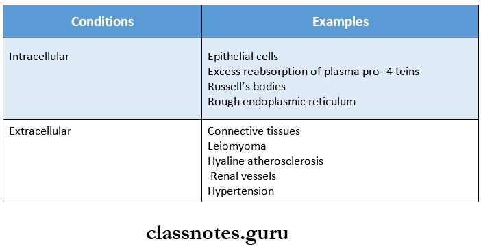 Morphology Of Cell Injury Hyaline calcification conditions and Examples