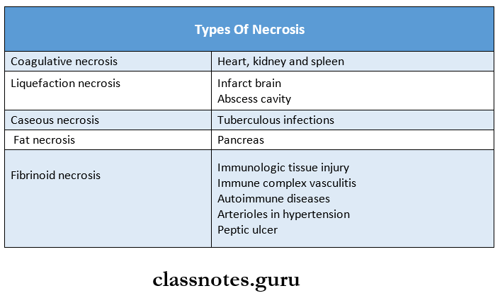 Morphology Of Cell Injury Types of necrosis and Examples