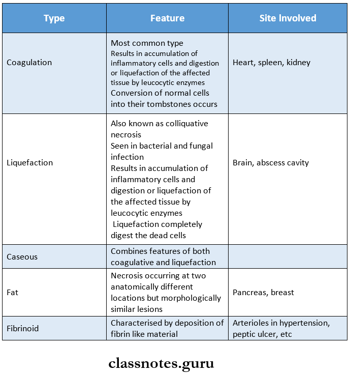 Morphology Of Cell Injury Types of necrosis