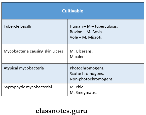 Mycobacterium Tuberculosis Cultivable