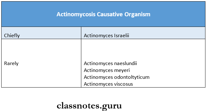 Mycology Actinomycosis Causative Organism