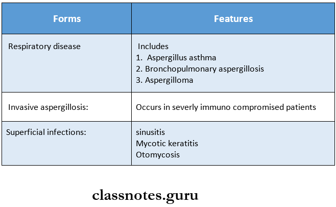 Mycology Clinical forms of aspergillosis