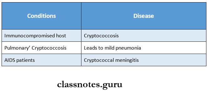 Mycology Cryptococcosis pathogenesis