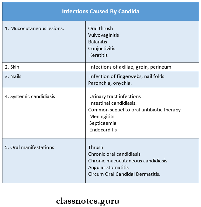 Mycology Infections Caused By Candida