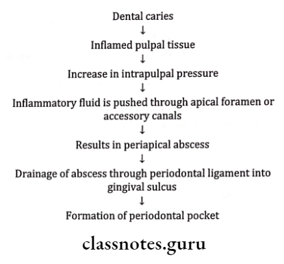 Necrotizing Ulcerative Periodontitis Refractory Periodontitis Pathogenesis