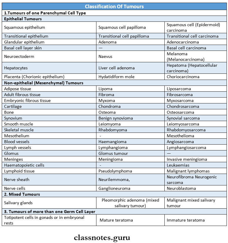 Neoplasia Classification Of Tumours