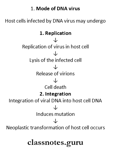 Neoplasia Mode Of DNA virus
