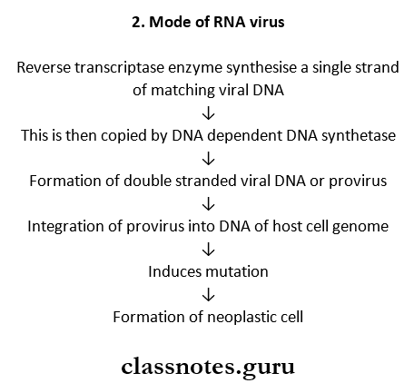Neoplasia Mode Of RNA virus
