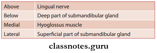 Nerves Of Head And Neck Submandibular Ganglion Relation