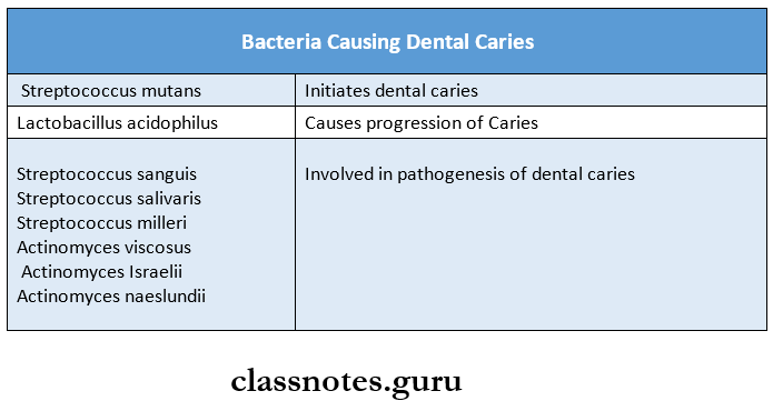 Oral Microbiology Bacteria Causing Dental Caries
